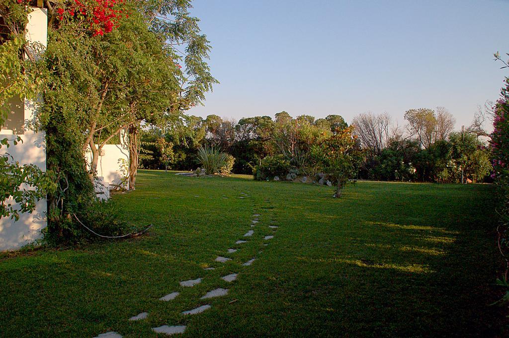 Handrina Studios Naxos City Exteriör bild